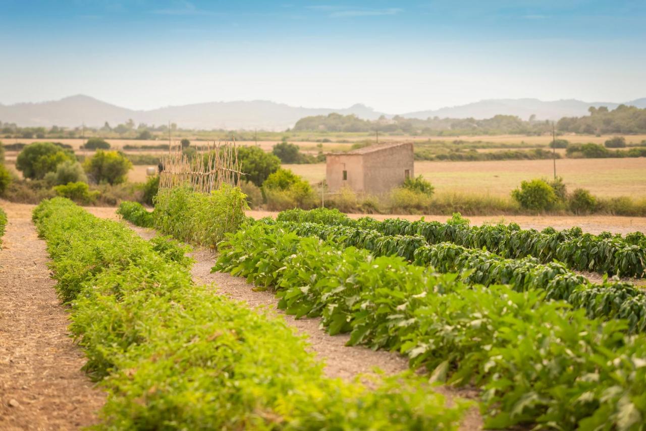 Fotos del hotel - FINCA SON ROIG AGROTURISMO