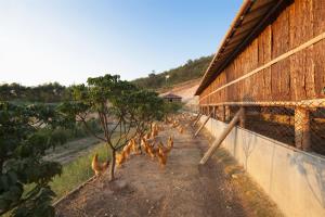 Fotos del hotel - THE MULIAN URBAN RESORT AND HOTELS HUADU