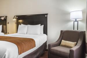 Fotos del hotel - COMFORT INN & SUITES AIRPORT