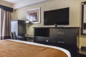 Fotos del hotel - COMFORT INN & SUITES AIRPORT