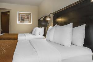 Fotos del hotel - COMFORT INN & SUITES AIRPORT