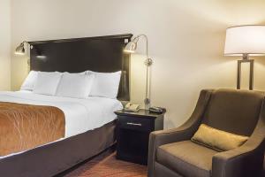 Fotos del hotel - COMFORT INN & SUITES AIRPORT