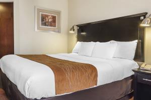 Fotos del hotel - COMFORT INN & SUITES AIRPORT