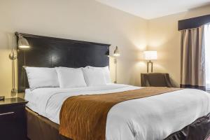 Fotos del hotel - COMFORT INN & SUITES AIRPORT