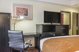 Fotos del hotel - COMFORT INN & SUITES AIRPORT