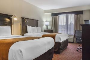 Fotos del hotel - COMFORT INN & SUITES AIRPORT