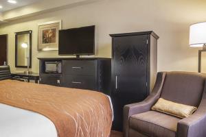 Fotos del hotel - COMFORT INN & SUITES AIRPORT
