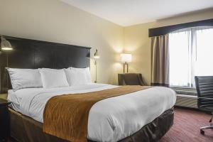Fotos del hotel - COMFORT INN & SUITES AIRPORT