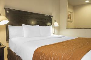 Fotos del hotel - COMFORT INN & SUITES AIRPORT
