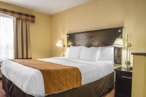 Fotos del hotel - COMFORT INN & SUITES AIRPORT