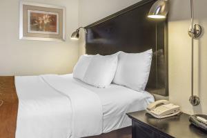 Fotos del hotel - COMFORT INN & SUITES AIRPORT