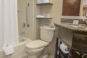 Fotos del hotel - COMFORT INN & SUITES AIRPORT