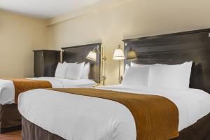 Fotos del hotel - COMFORT INN & SUITES AIRPORT
