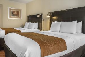 Fotos del hotel - COMFORT INN & SUITES AIRPORT