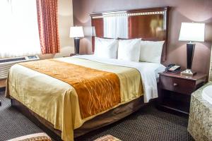 Fotos del hotel - TRAVELODGE BY WYNDHAM OZONE PARK