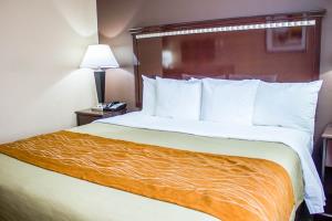 Fotos del hotel - TRAVELODGE BY WYNDHAM OZONE PARK