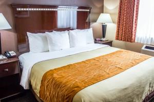 Fotos del hotel - TRAVELODGE BY WYNDHAM OZONE PARK