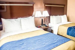 Fotos del hotel - TRAVELODGE BY WYNDHAM OZONE PARK