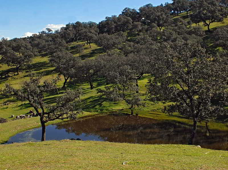 Fotos del hotel - Sierra Aracena