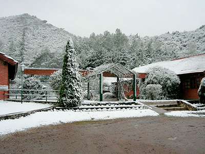 Fotos del hotel - Green House