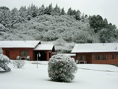 Fotos del hotel - Green House