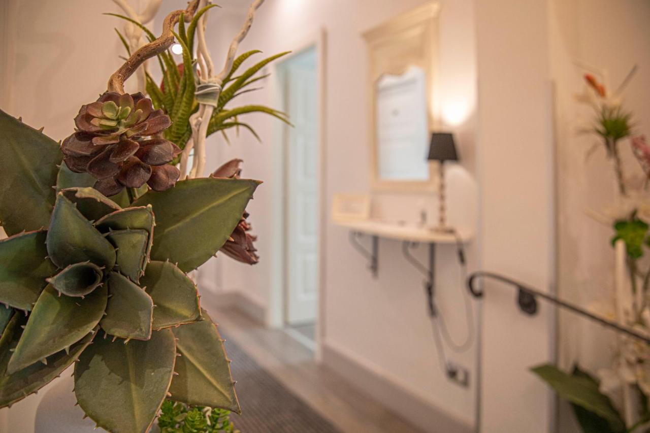 Fotos del hotel - DOMUS CASTRENSE