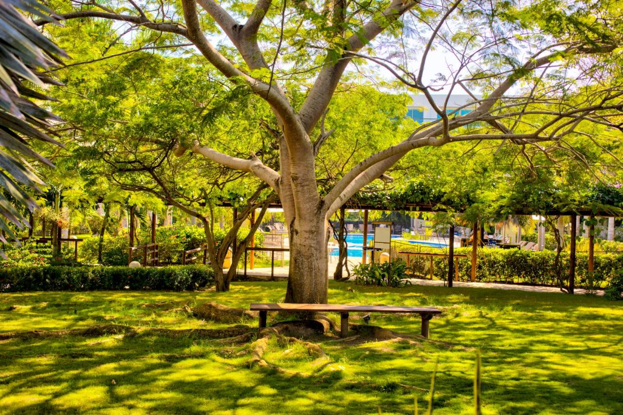 Fotos del hotel - ESTELAR PLAYA MANZANILLO H. - ALL INCLUSIVE