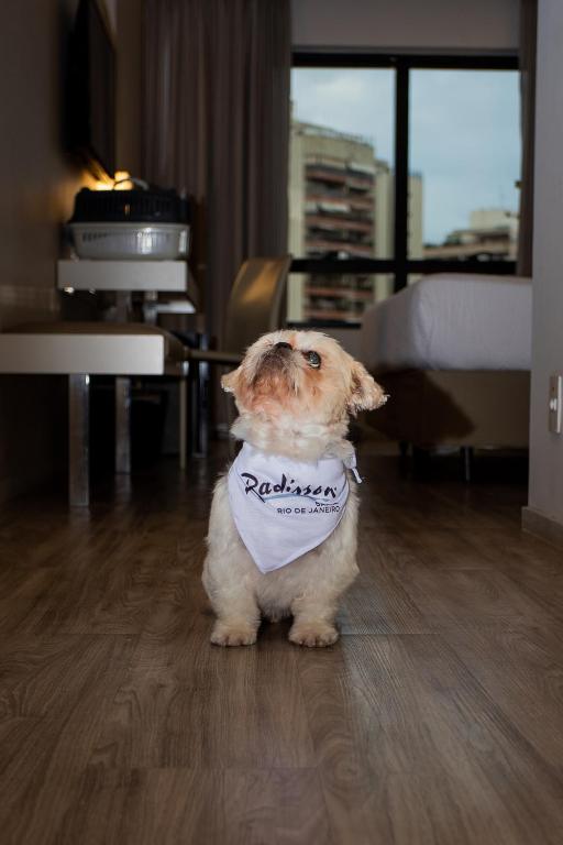 Fotos del hotel - RADISSON RIO DE JANEIRO BARRA