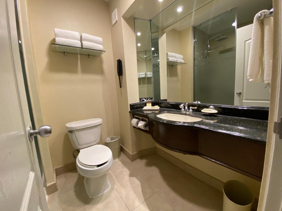 Fotos del hotel - SAFI ROYAL LUXURY VALLE