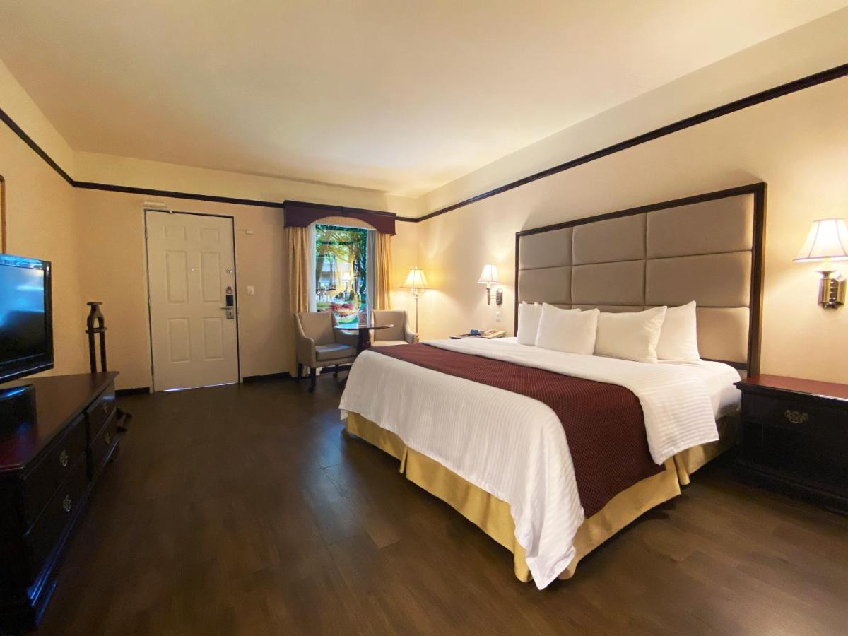 Fotos del hotel - SAFI ROYAL LUXURY CENTRO
