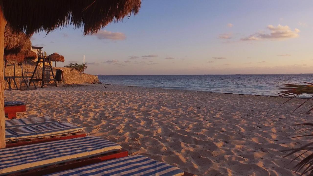 Fotos del hotel - DOS PLAYAS FARANDA