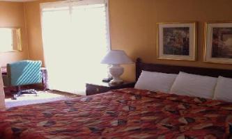 Fotos del hotel - BECKS MOTOR LODGE