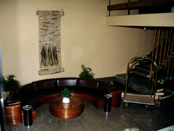 Fotos del hotel - BRASAO PALACE