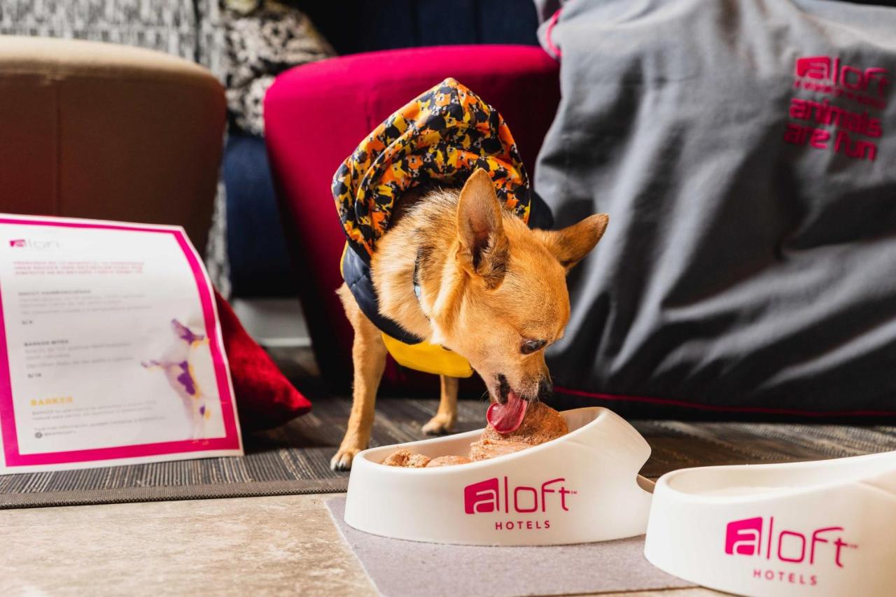 Fotos del hotel - ALOFT LIMA MIRAFLORES