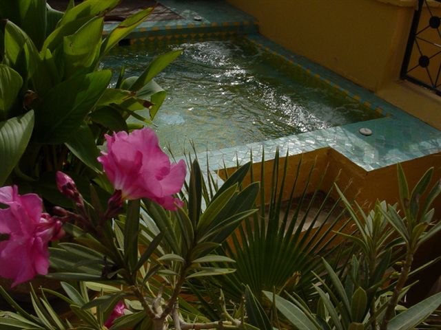 Fotos del hotel - RIAD KARMELA