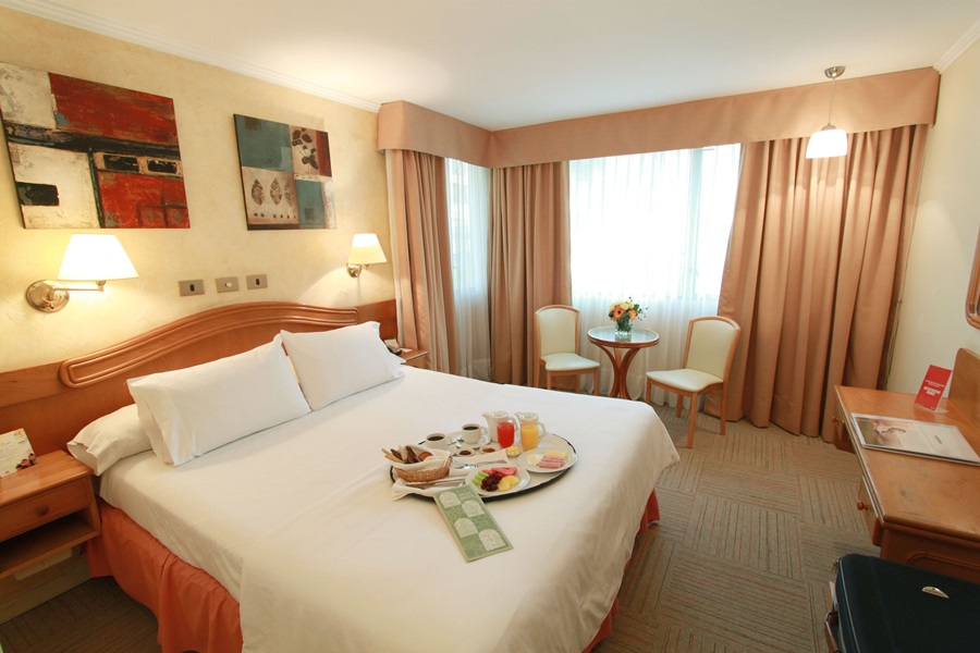 Fotos del hotel - TORREMAYOR LYON