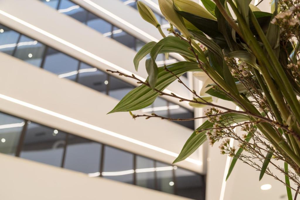 Fotos del hotel - NEGRESCO PRINCESS