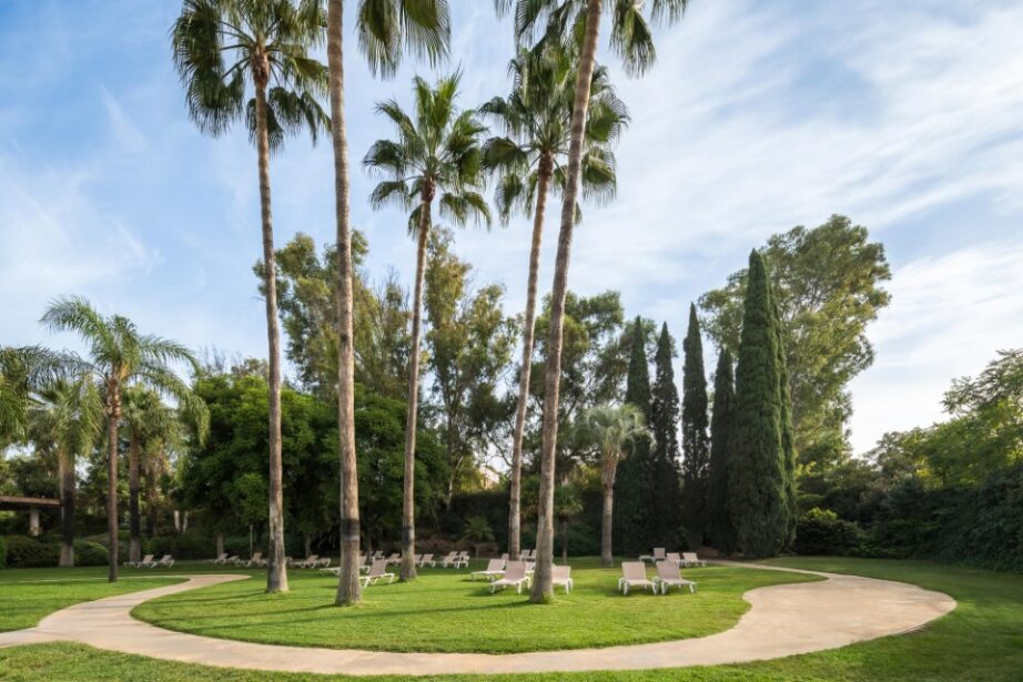 Fotos del hotel - EUROSTARS AL-ANDALUS PALACE