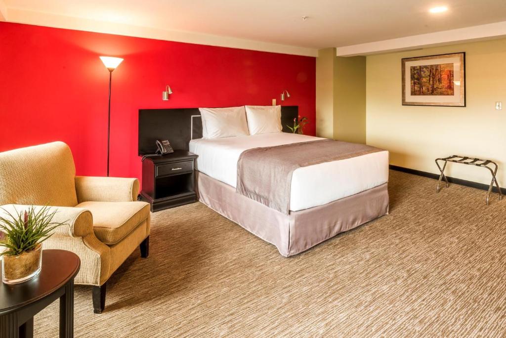 Fotos del hotel - URBAN GREEN HOTEL & SUITES
