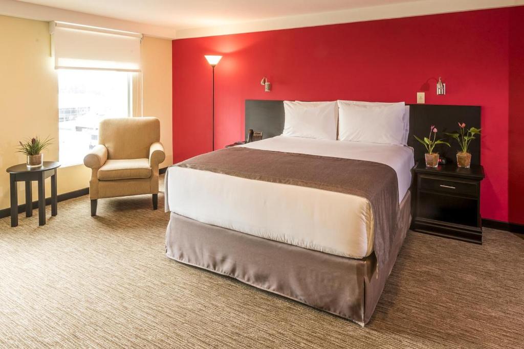 Fotos del hotel - URBAN GREEN HOTEL & SUITES