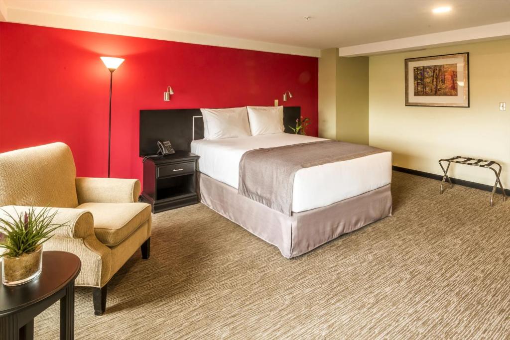 Fotos del hotel - URBAN GREEN HOTEL & SUITES