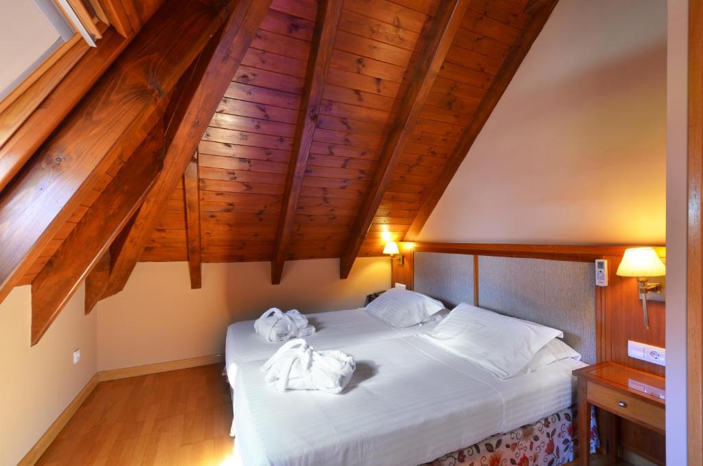 Fotos del hotel - HOTEL SPA ACEVI VAL D'ARAN