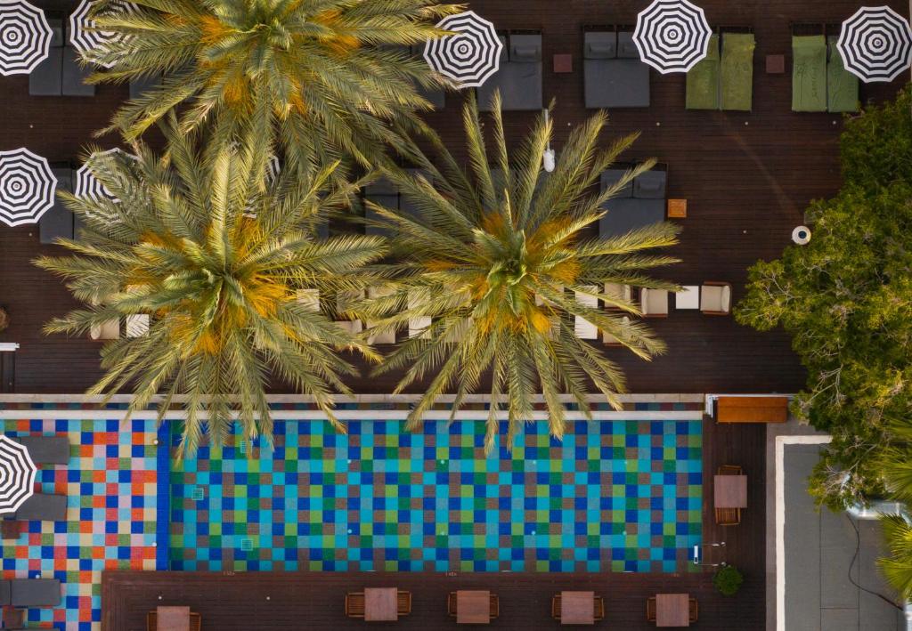 Fotos del hotel - KING JASON PAPHOS- ADULTS ONLY