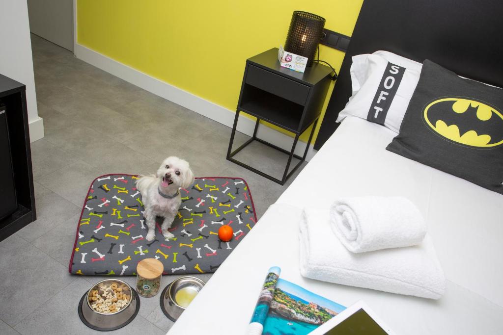 Fotos del hotel - CASUAL POP ART BENIDORM