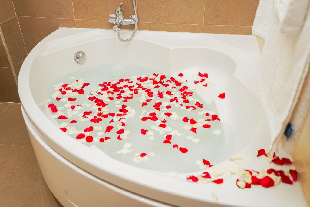 Fotos del hotel - TANGER MED