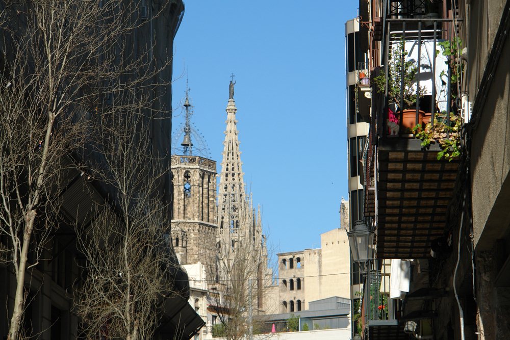 Fotos del hotel - HOSTAL CEL BARCELONA