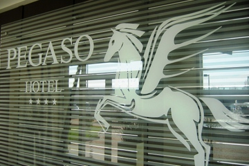 Fotos del hotel - PEGASO