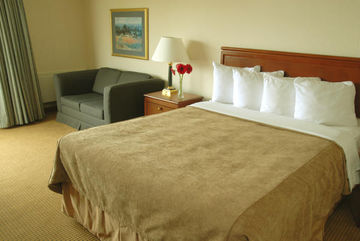 Fotos del hotel - QUALITY DOWNTOWN