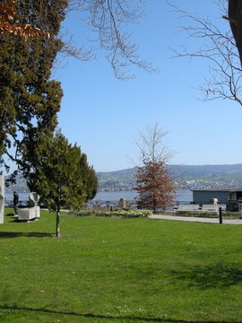 Fotos del hotel - MEIERHOF HORGEN