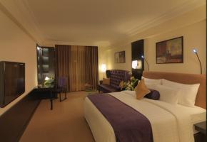 Fotos del hotel - STERLINGS MAC HOTEL BANGALORE